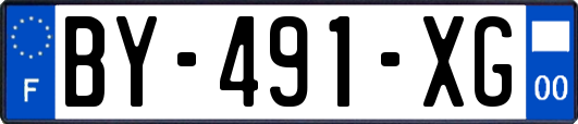 BY-491-XG