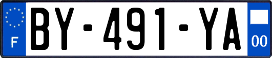 BY-491-YA