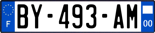 BY-493-AM