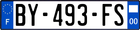 BY-493-FS