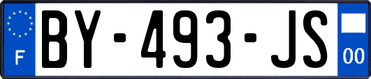 BY-493-JS