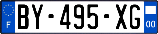 BY-495-XG