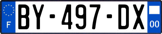BY-497-DX