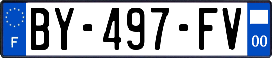BY-497-FV