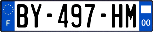 BY-497-HM