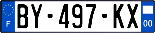 BY-497-KX