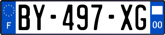 BY-497-XG