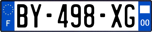 BY-498-XG