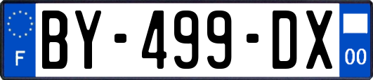 BY-499-DX