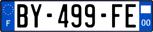 BY-499-FE