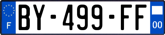 BY-499-FF