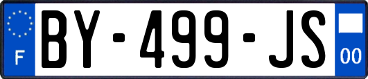 BY-499-JS