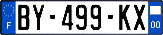 BY-499-KX