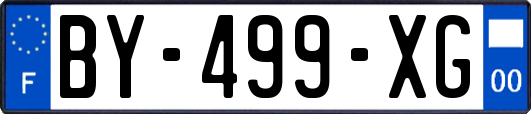BY-499-XG