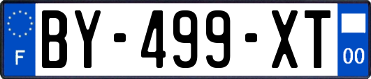BY-499-XT