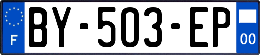 BY-503-EP