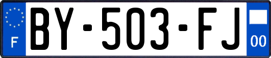 BY-503-FJ