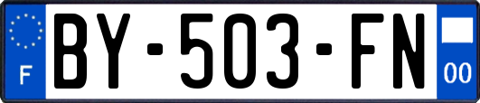 BY-503-FN