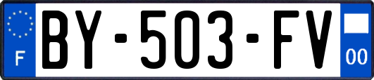BY-503-FV
