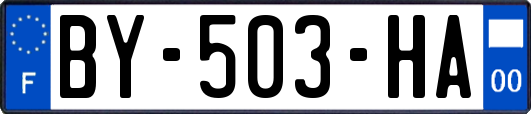 BY-503-HA
