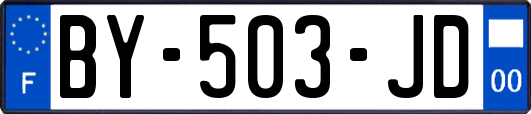BY-503-JD