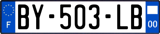 BY-503-LB