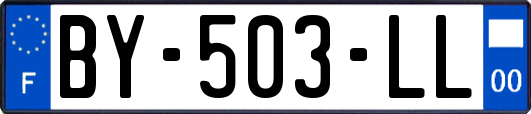 BY-503-LL
