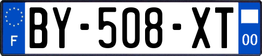 BY-508-XT