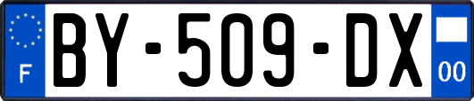BY-509-DX