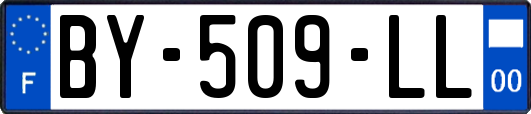 BY-509-LL