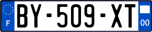 BY-509-XT