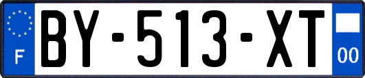 BY-513-XT