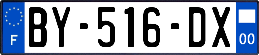 BY-516-DX