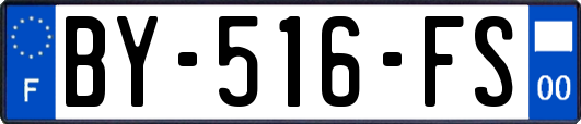 BY-516-FS
