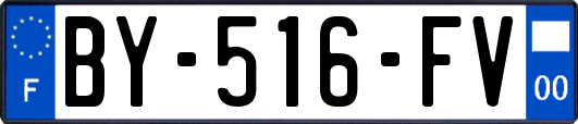 BY-516-FV
