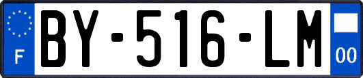 BY-516-LM