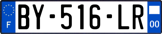 BY-516-LR