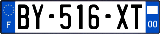 BY-516-XT