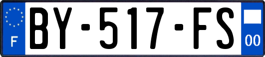 BY-517-FS