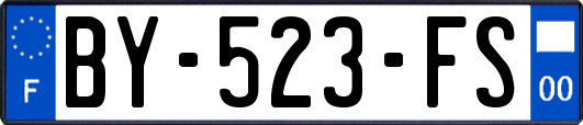 BY-523-FS