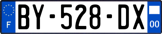 BY-528-DX