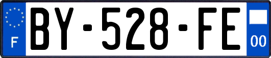 BY-528-FE