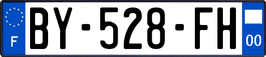 BY-528-FH