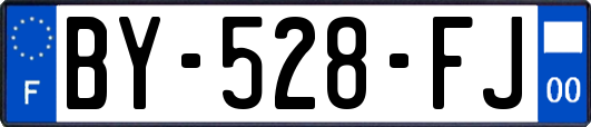 BY-528-FJ