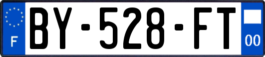 BY-528-FT