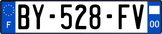 BY-528-FV