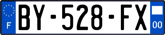 BY-528-FX
