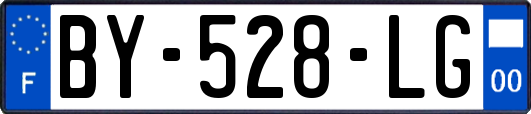 BY-528-LG