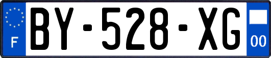 BY-528-XG