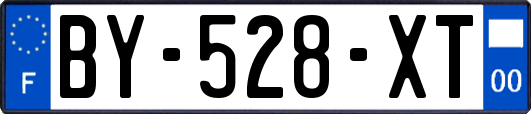 BY-528-XT